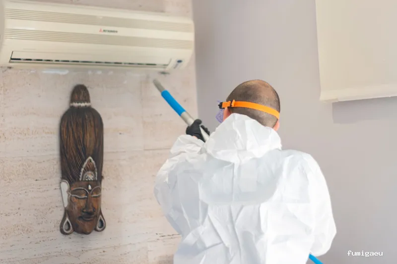 Solochinches · Expertos en Chinches