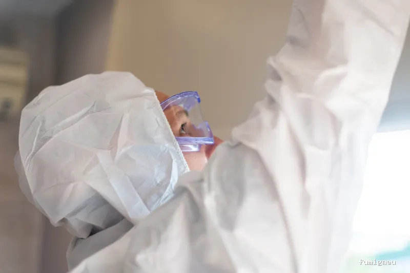 Solochinches · Expertos en Chinches