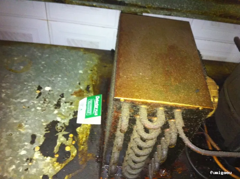 EXIR Control de Plagas