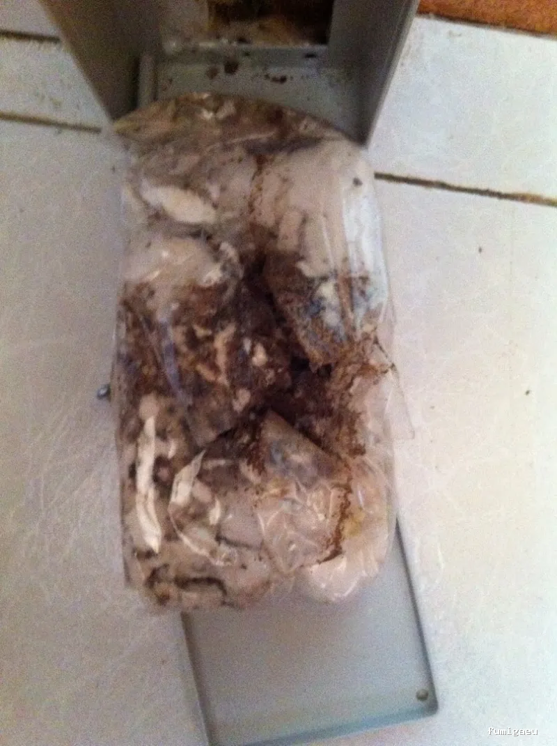 EXIR Control de Plagas