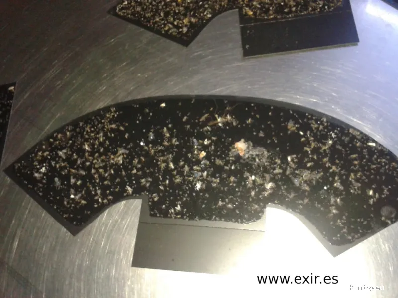 EXIR Control de Plagas