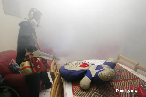 AFT DESINFECCIONES-Control de Plagas-Fumigaciones-MORON DE LA FRONTERA, CARMONA, UTRERA