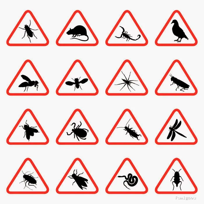 AFT DESINFECCIONES-Control de Plagas-Fumigaciones-MORON DE LA FRONTERA, CARMONA, UTRERA