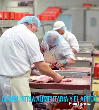 AFT DESINFECCIONES-Control de Plagas-Fumigaciones-MORON DE LA FRONTERA, CARMONA, UTRERA