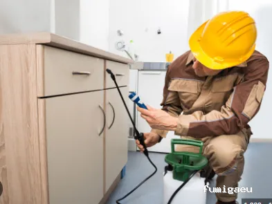 Plagas-Stop - Fumigaciones - Valladolid