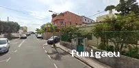 Fumigaciones Lider Canarias - Fumigacion y Control de Plagas