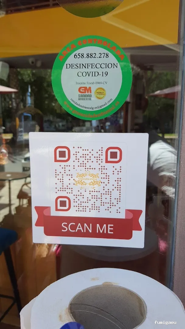 GM Sanidad Ambiental/Plagas Direct