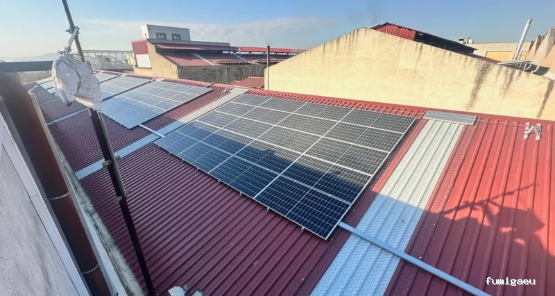 Diset Control de Plagas Barcelona