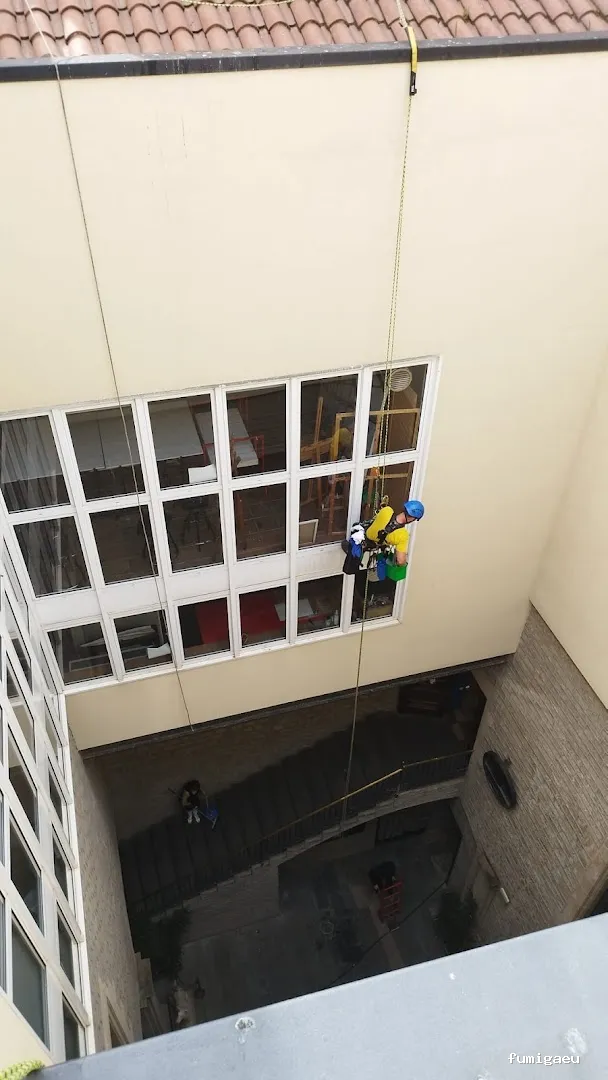 Diset Control de Plagas Barcelona