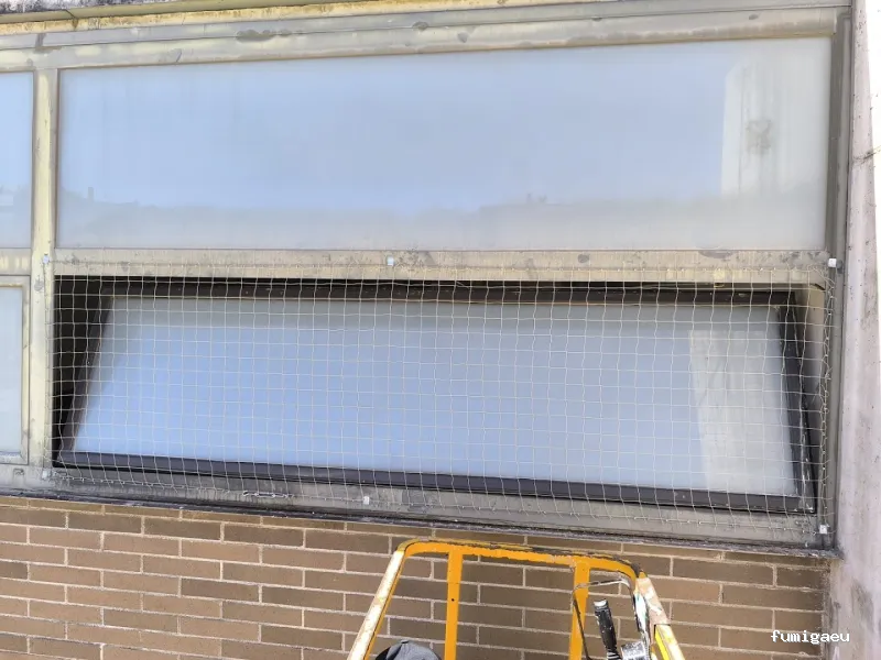 Diset Control de Plagas Barcelona