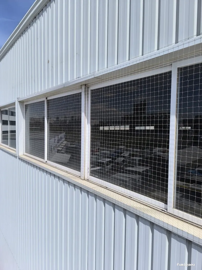 Diset Control de Plagas Barcelona