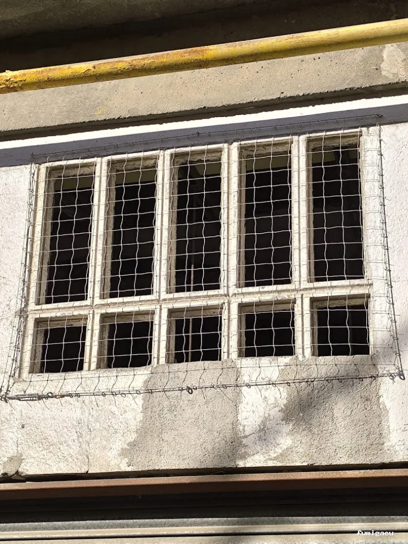 Diset Control de Plagas Barcelona