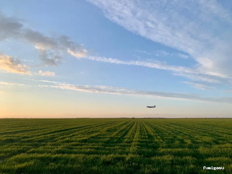 ZALSA Agroservicios - Piensos y Fitosanitarios