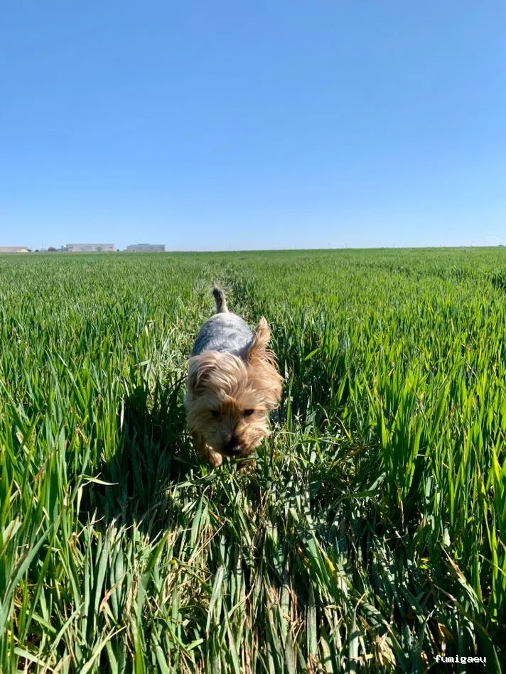 ZALSA Agroservicios - Piensos y Fitosanitarios