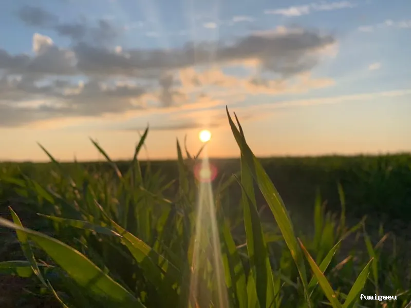 ZALSA Agroservicios - Piensos y Fitosanitarios