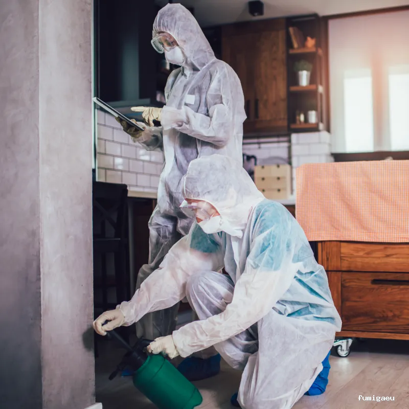 CONTROL DE PLAGAS - Fumigación - Desratización - Desinsectaciones GARRIDO