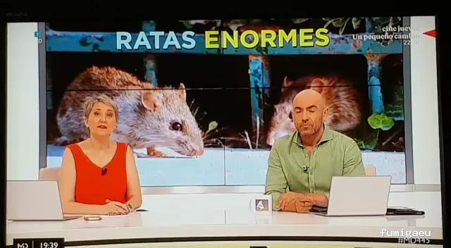 CONTROL DE PLAGAS - Fumigación - Desratización - Desinsectaciones GARRIDO