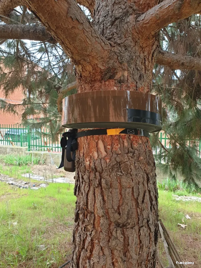 CONTROL DE PLAGAS - Fumigación - Desratización - Desinsectaciones GARRIDO