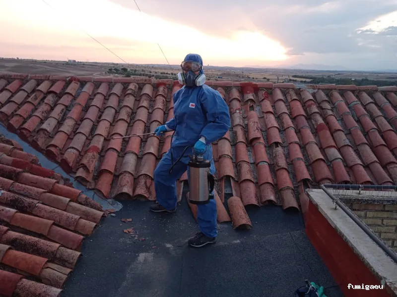 CONTROL DE PLAGAS - Fumigación - Desratización - Desinsectaciones GARRIDO