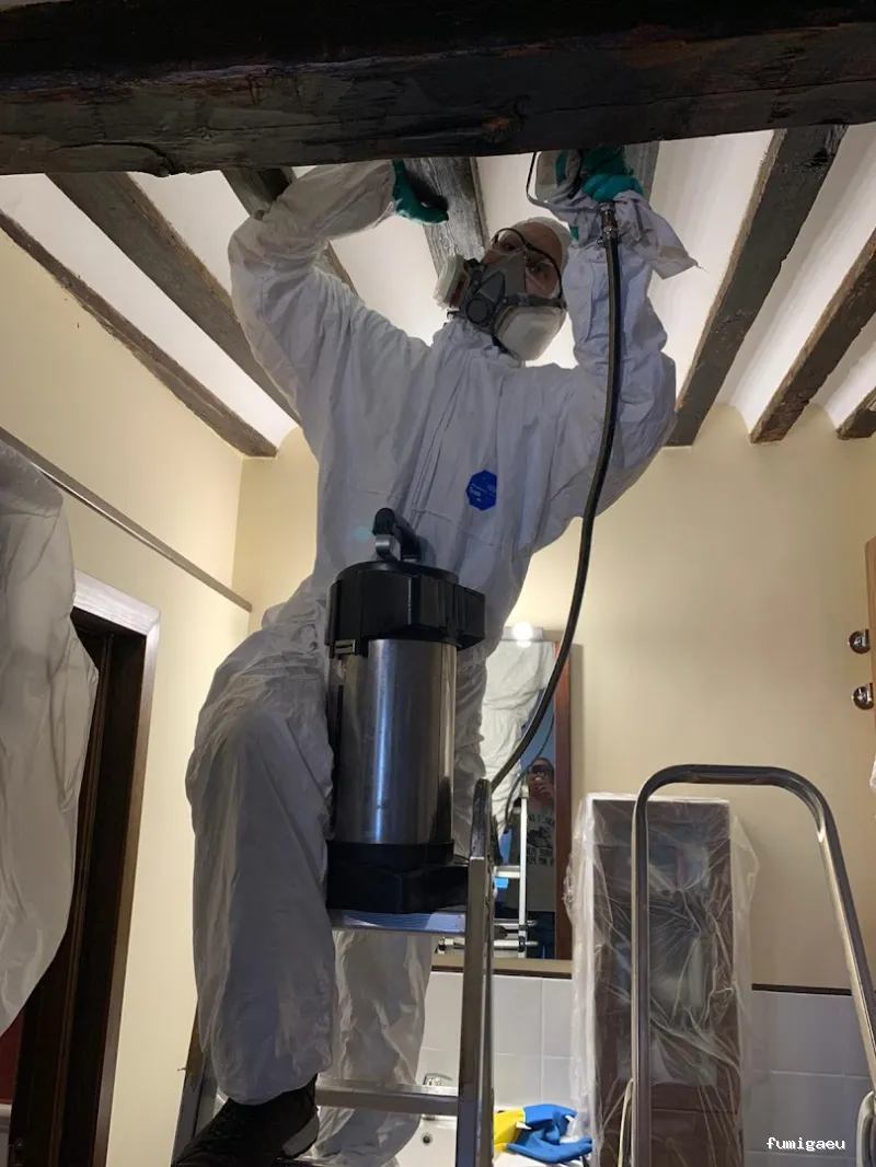 CONTROL DE PLAGAS - Fumigación - Desratización - Desinsectaciones GARRIDO