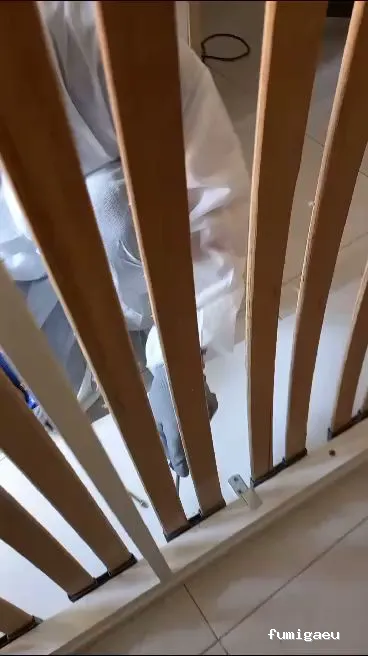 CONTROL DE PLAGAS - Fumigación - Desratización - Desinsectaciones GARRIDO