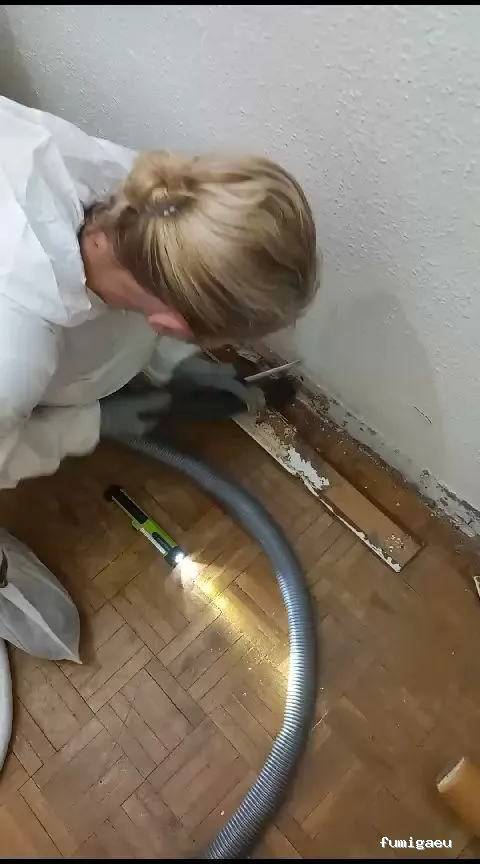 CONTROL DE PLAGAS - Fumigación - Desratización - Desinsectaciones GARRIDO