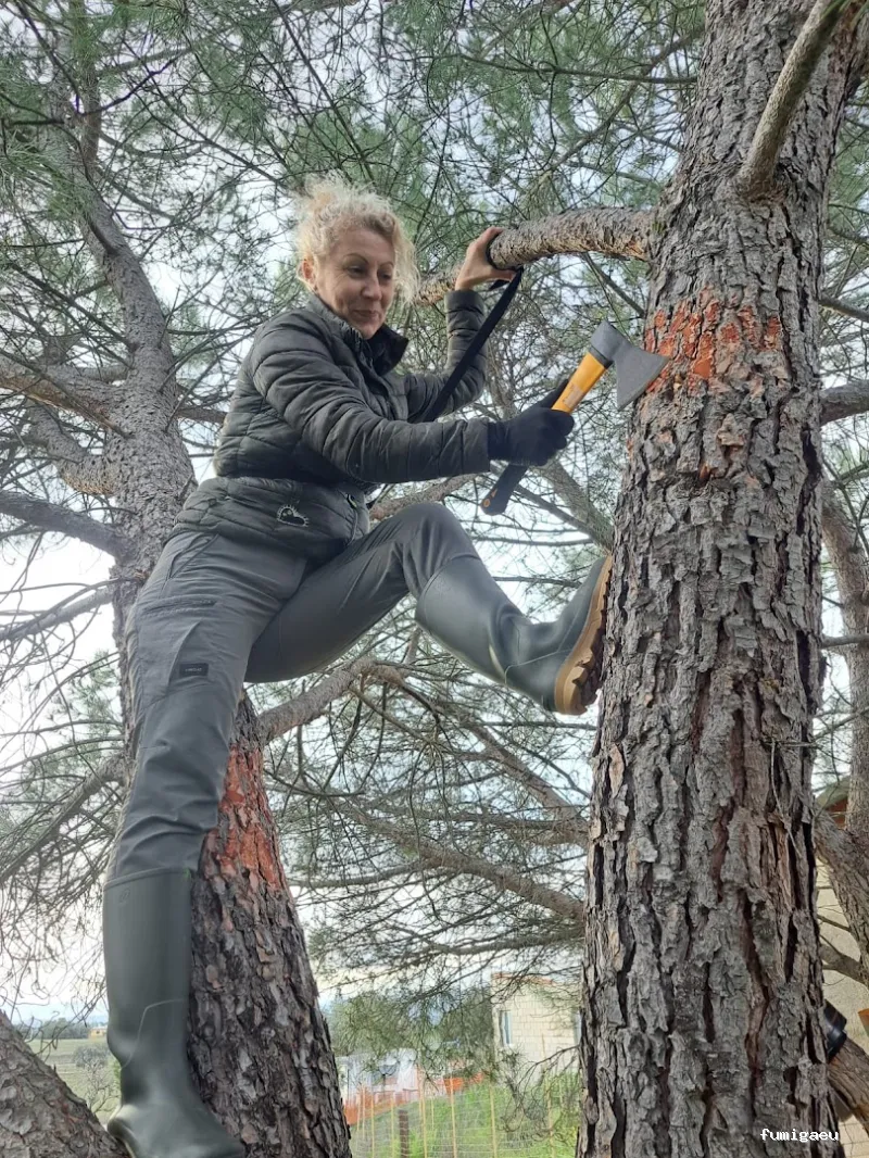 CONTROL DE PLAGAS - Fumigación - Desratización - Desinsectaciones GARRIDO
