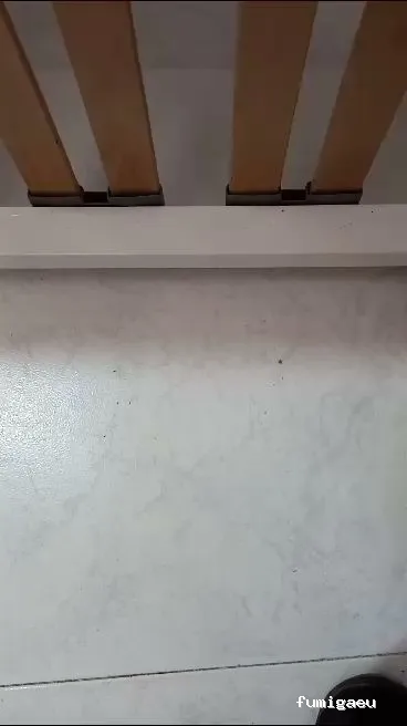 CONTROL DE PLAGAS - Fumigación - Desratización - Desinsectaciones GARRIDO