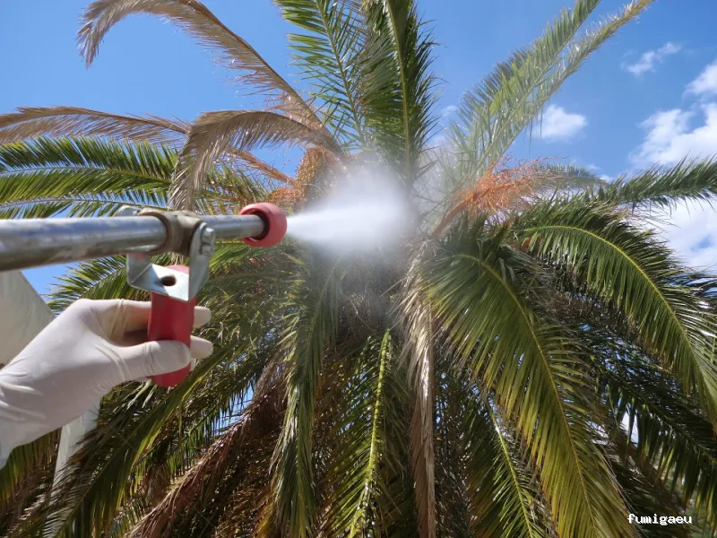 HIGIENISA CONTROL DE PLAGAS - MURCIA