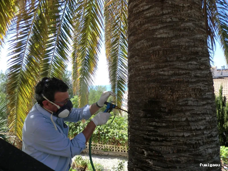 HIGIENISA CONTROL DE PLAGAS - MURCIA