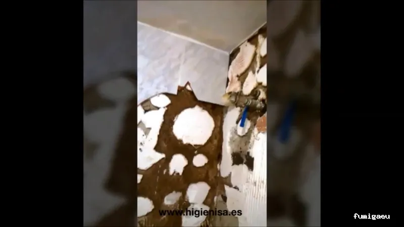 HIGIENISA CONTROL DE PLAGAS - MURCIA