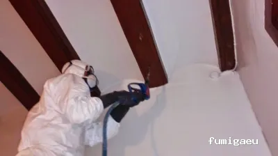 Nemesis Plagas - Fumigación y control de plagas Valencia