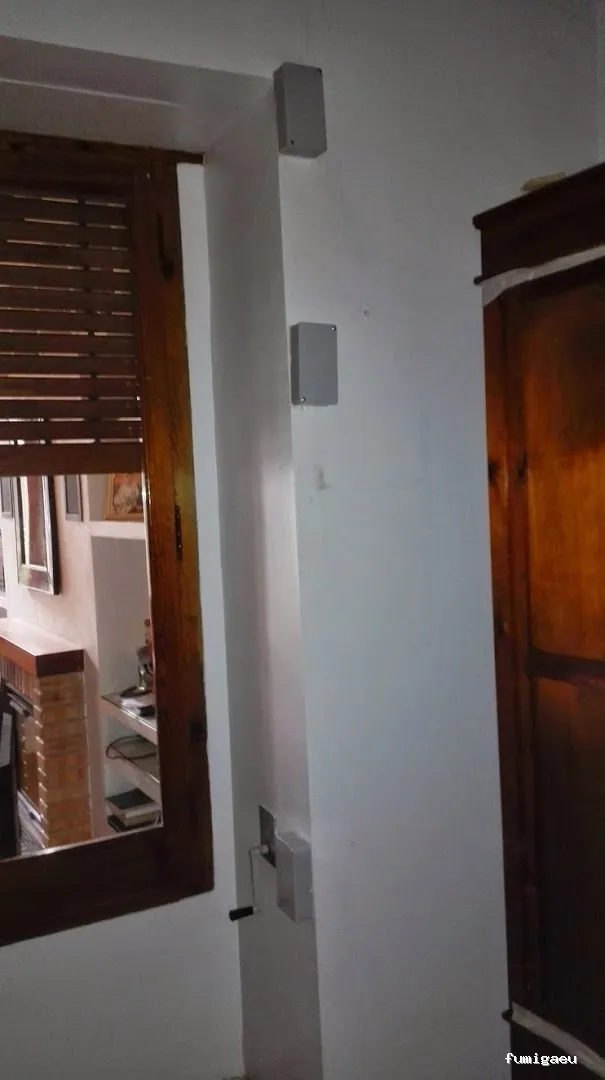 Nemesis Plagas - Fumigación y control de plagas Valencia