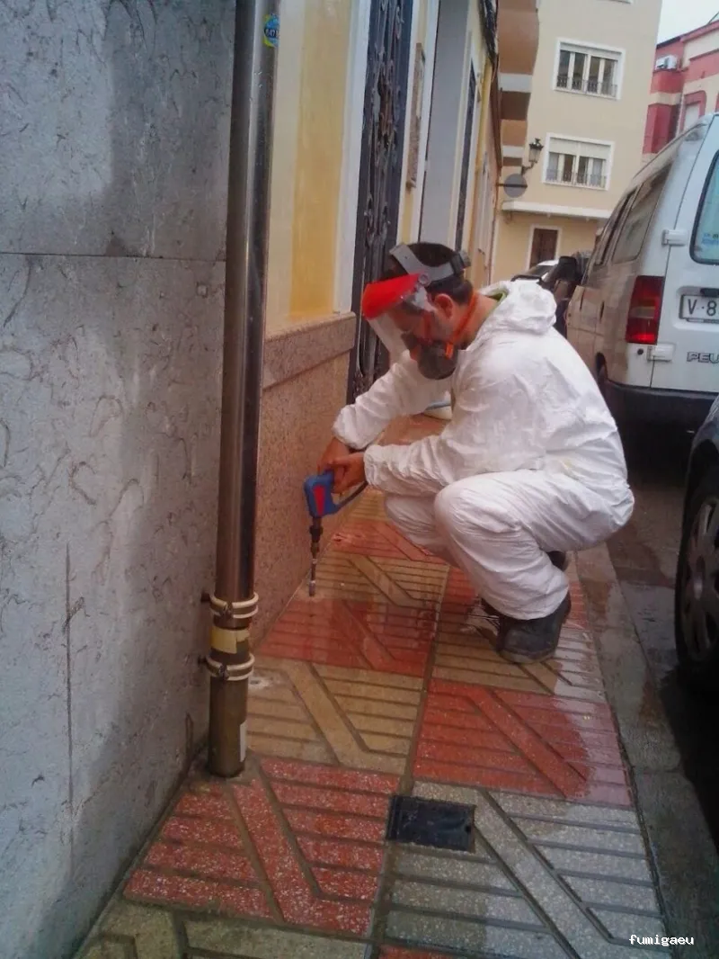 Nemesis Plagas - Fumigación y control de plagas Valencia