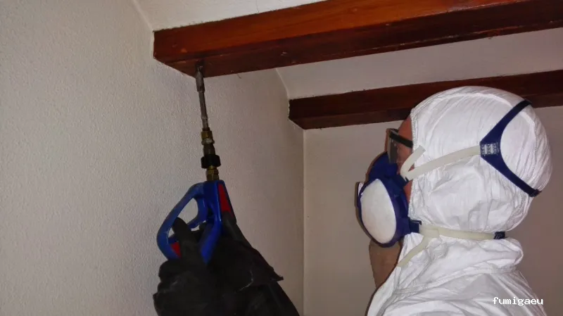 Nemesis Plagas - Fumigación y control de plagas Valencia