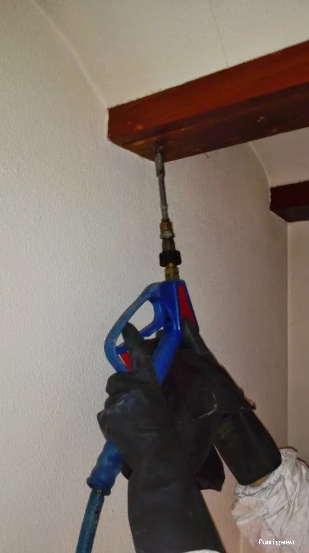 Nemesis Plagas - Fumigación y control de plagas Valencia