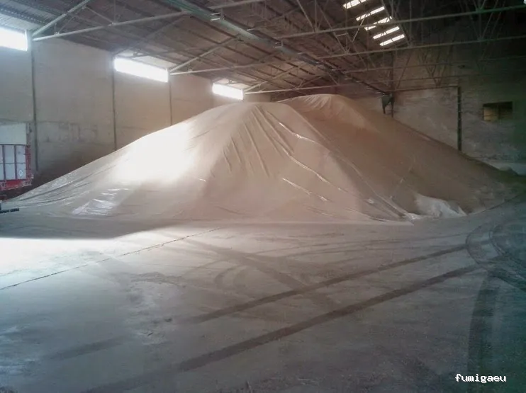 Nemesis Plagas - Fumigación y control de plagas Valencia