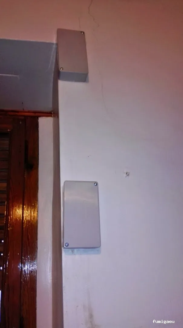 Nemesis Plagas - Fumigación y control de plagas Valencia