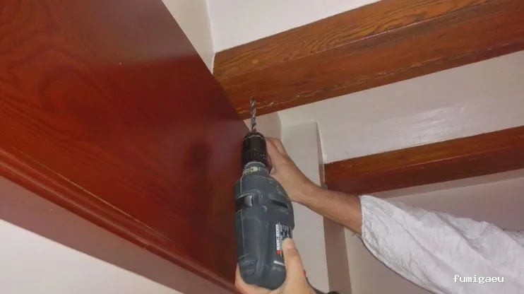 Nemesis Plagas - Fumigación y control de plagas Valencia