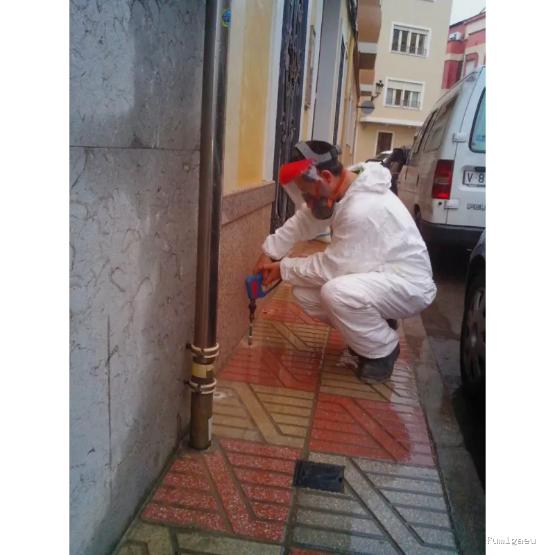 Nemesis Plagas - Fumigación y control de plagas Valencia