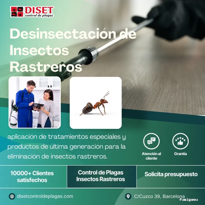 Diset Control Plagas Hospitalet