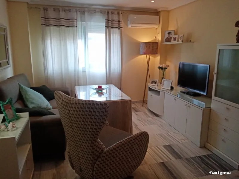 Arahart - Segura Medina