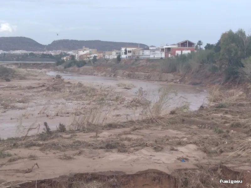 3D Control de plagas