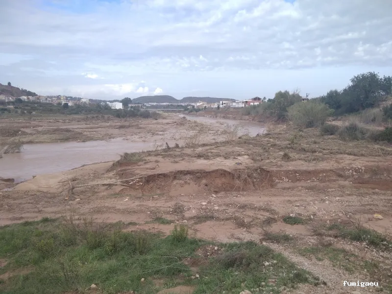 3D Control de plagas