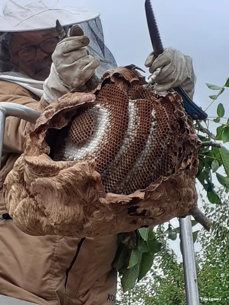 Tratamientos TURA - Control de Plagas en Cataluña