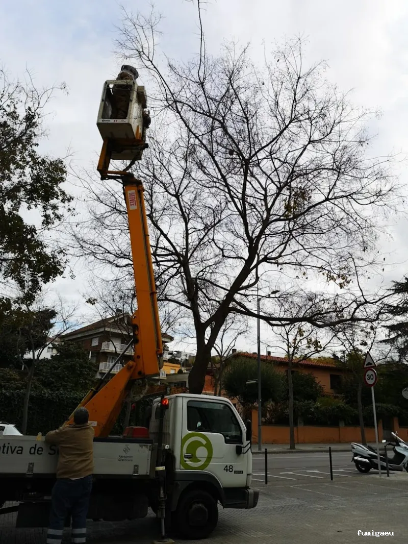 Tratamientos TURA - Control de Plagas en Cataluña