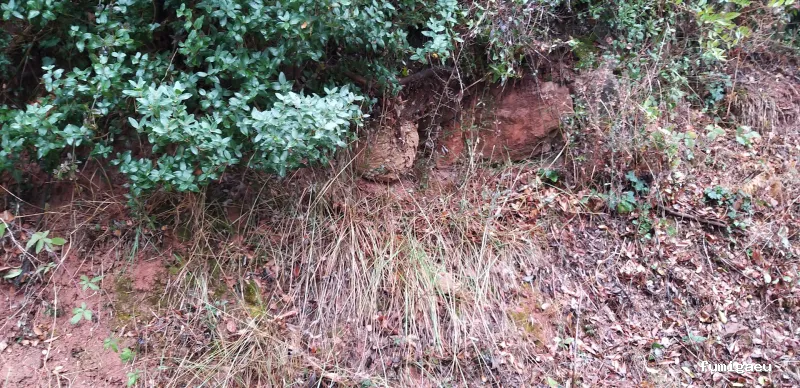 Tratamientos TURA - Control de Plagas en Cataluña