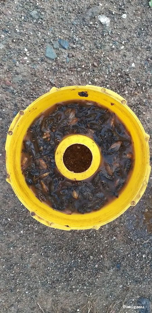 Tratamientos TURA - Control de Plagas en Cataluña