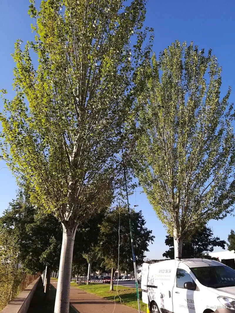 Tratamientos TURA - Control de Plagas en Cataluña