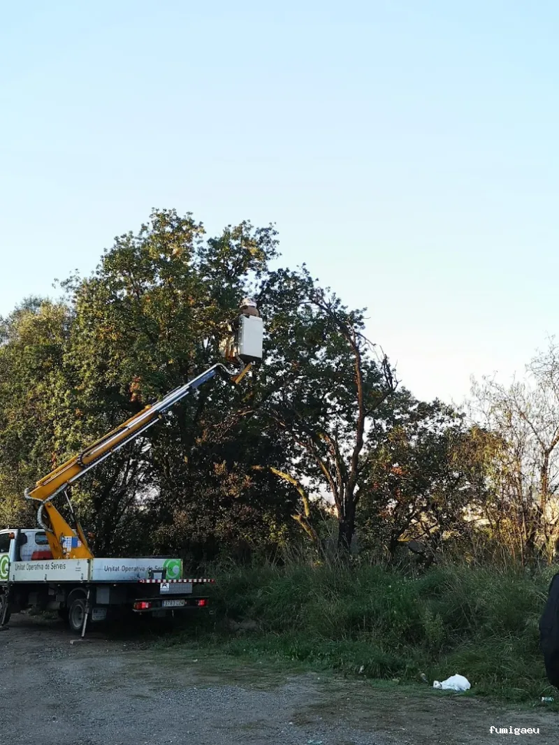 Tratamientos TURA - Control de Plagas en Cataluña